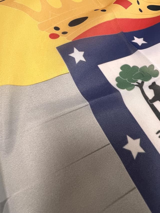 Thumbnail 6 de Gemelolandia Bandera España 90x150 cm con Escudo de Fútbol ✈