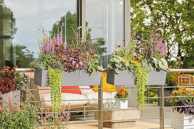 Thumbnail 5 de Lechuza Balconera Stone 80 - Maceta de riego automático 🌱