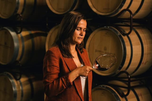 Detalle de VIÑA POMAL Crianza 100% Tempranillo, Vino Tinto Rioja 🍷