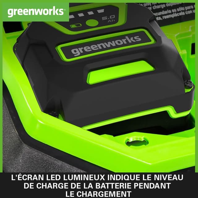 Detalle 2 de Greenworks G40B5 batterie 40V 5Ah