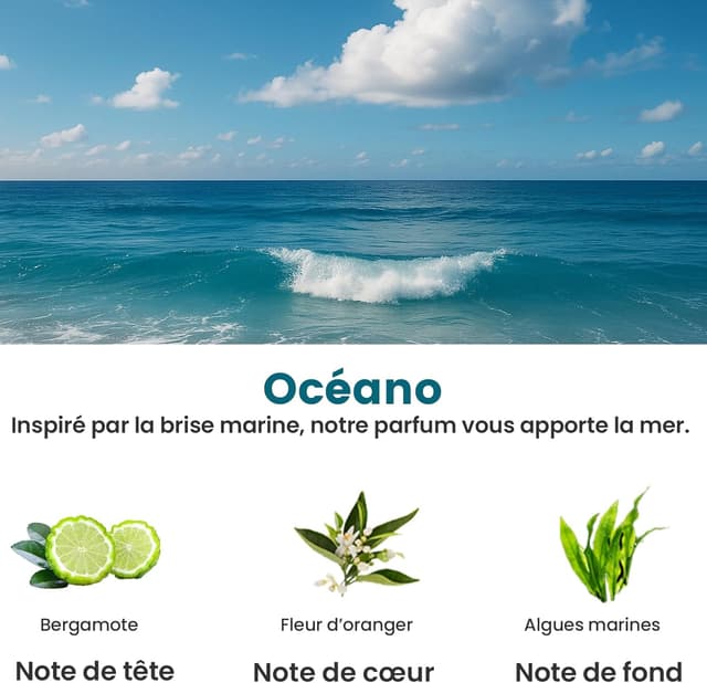 Detalle 2 de Recharge parfum Pour BJ-573 pour diffuseur de voiture Towonshy – Océano, 50 ml