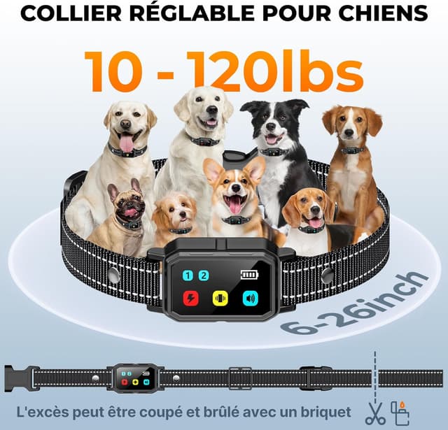 Thumbnail 5 de Collier de dressage 3000 m