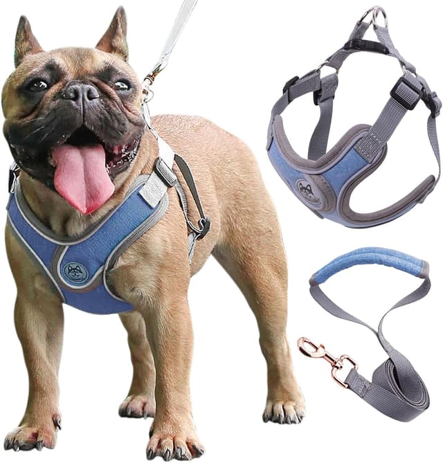 Detalle de Wocharm Breathable Dog Harness with Leash