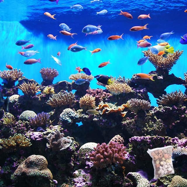 Thumbnail 1 de 10 Stück Aquarium Filterbeutel 20 x 30 cm 🐠