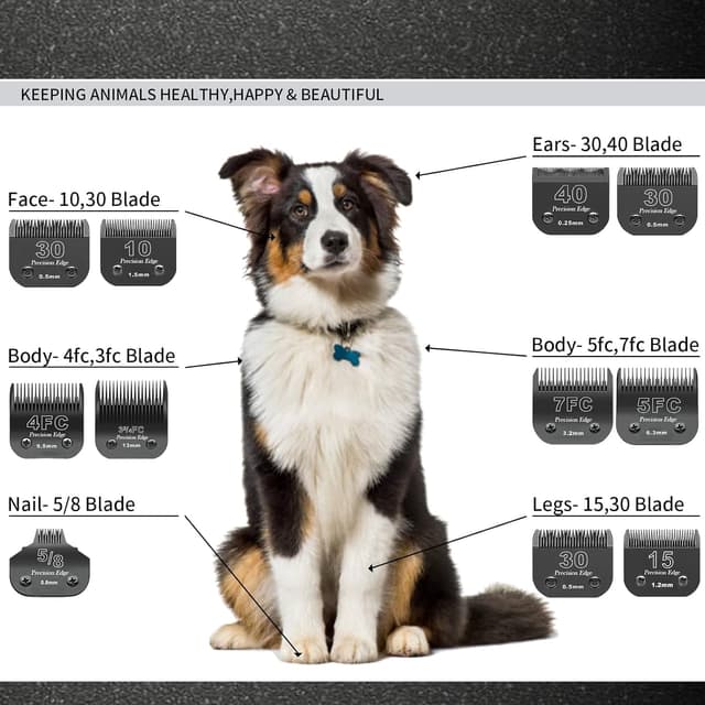 Thumbnail 4 de BESTBOMG 4F lama di ricambio 9,5 mm ✂