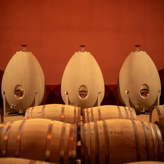 Thumbnail 5 de Protos Verdejo Cuvée 🍷 Vino Blanco Ecológico Rueda 750ml