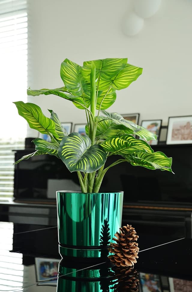 Thumbnail 1 de KERD Blumentopf-Set 5x12 cm Glänzend Grün