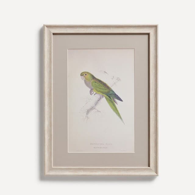 Thumbnail 3 de El Corte Inglés Set de 4 cuadros Pájaros 📷