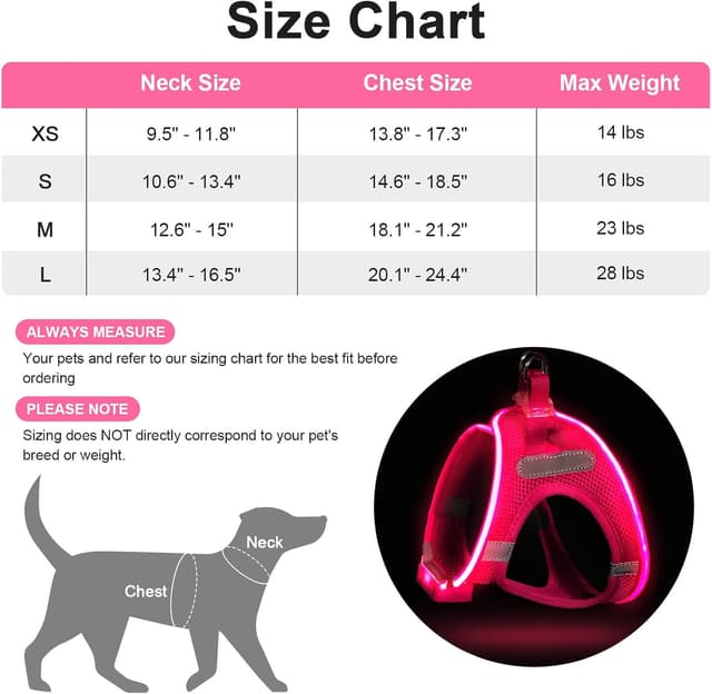 Thumbnail 1 de Feycig Leuchtendes Hundegeschirr LED Medium