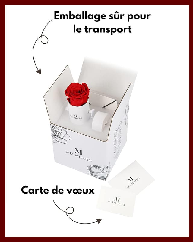 Detalle 2 de Infinity Roses Rouge 9 roses préservées