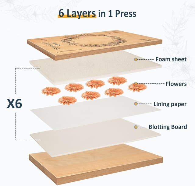 Thumbnail 3 de wisedry Presse à fleurs 25,4 x 15,2 cm