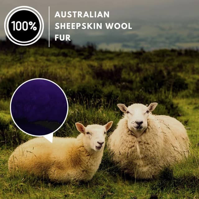 Detalle de Andalus Brands Luxury Fluffy Car Steering Wheel Covers (Genuine Merino Sheepskin) – Dark Purple Universal 14.5–15