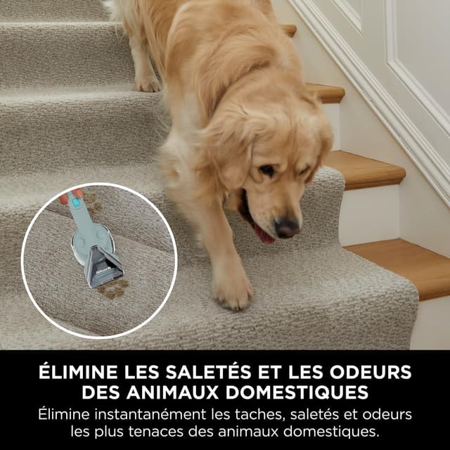 Thumbnail 3 de Shark PX200EUCP StainStriker nettoyeur taches 946 ml