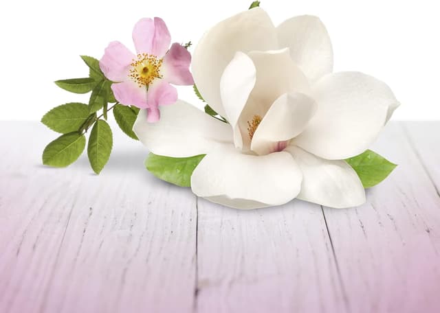 Thumbnail 3 de Air Wick Duftgel Blütenfrisch 6x150 ml