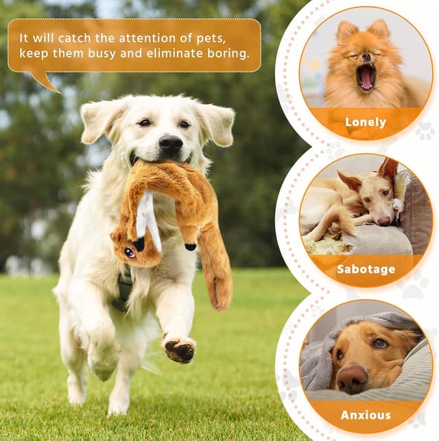 Thumbnail 4 de Newthinking No Stuffing Dog Toys 5-pack plush toys