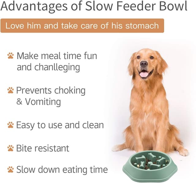 Detalle 1 de Slow feeder dog bowl 2 cups green