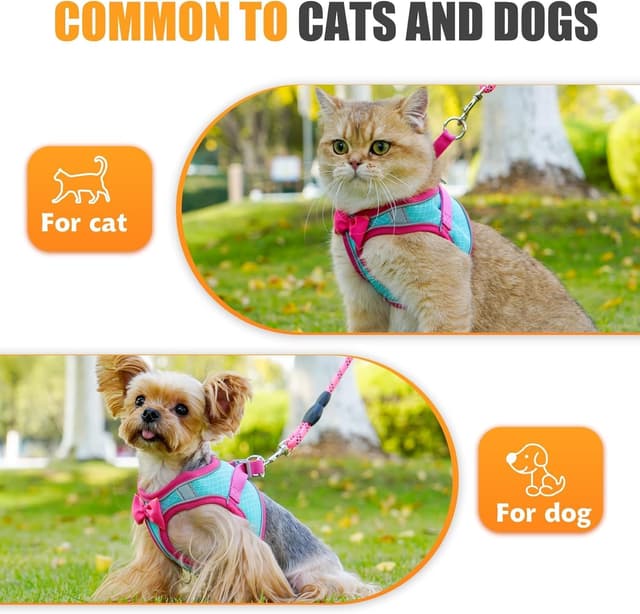 Detalle de WENDISI Dog Harness with Leash Set – Step-in Breathable No-Pull Reflective Padded Vest (with adjustable straps)