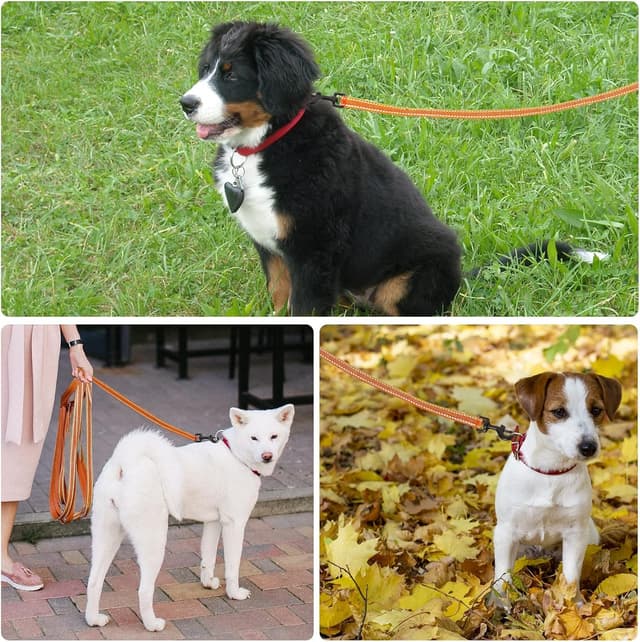 Detalle de COMSLE Long Leads for Dog Training extra long nylon dog leash (3m–20m) with rotating buckle handle