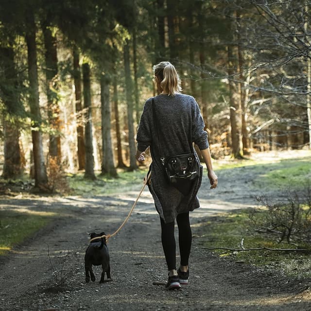 Thumbnail 6 de Wolfone Rope double-ended dog lead 2.1 m