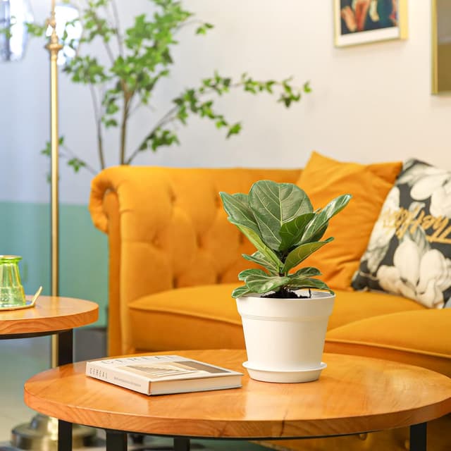 Detalle de T4U 17.5cm plastic plant pots 6 pack