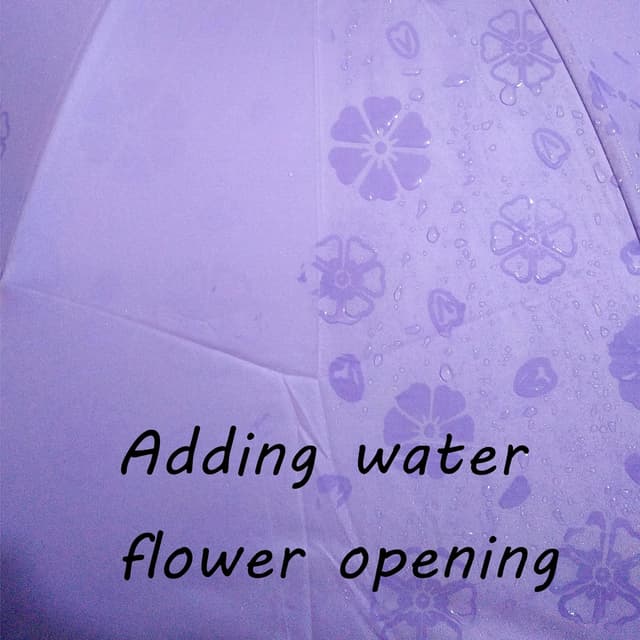 Thumbnail 1 de Maibar Paraguas plegable antiviento UV 50+