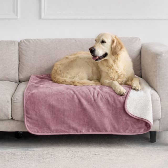 Detalle de Dreamzie wasserdichte Hundedecke 80x100 cm (reversibel, Sherpa-Fleece) – hellrosa