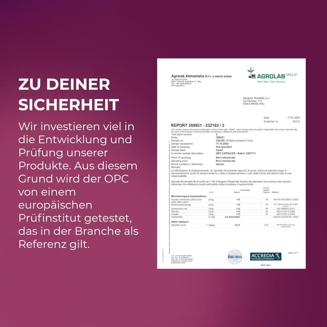 Detalle 2 de Bandini OPC Traubenkernextrakt 365 Kapseln mit 1076 mg Dosierung đź’Š