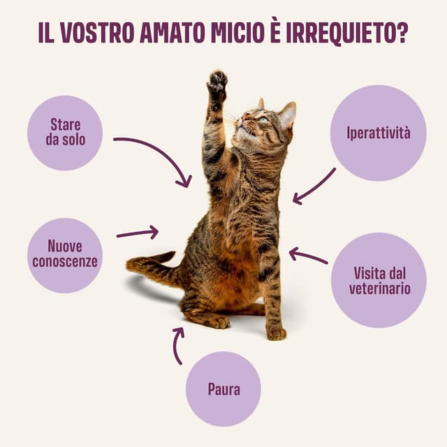 Detalle de ivvi Relax Essenza per Gatti – Crema funzionale alla camomilla, L-triptofano e magnesio con vero tonno