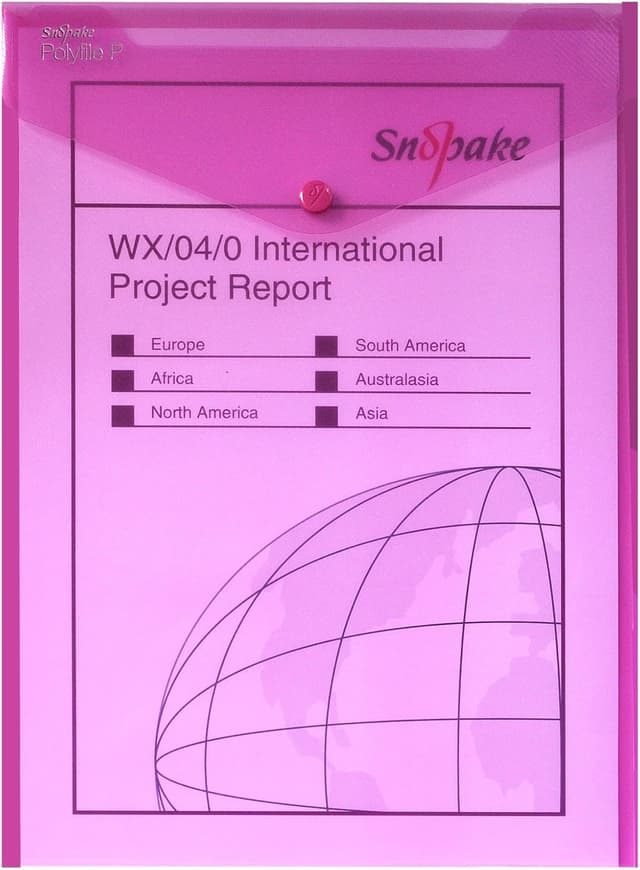 Detalle 2 de Snopake A4 Polyfile P Popper Wallet