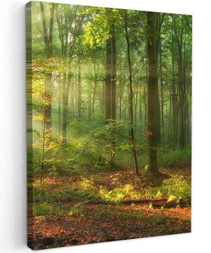 Detalle de MuchoWow Impression toile 30x40 cm ForĂȘt đš