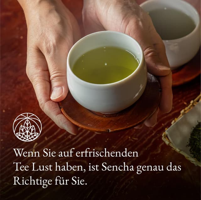 Detalle de Sencha Grüner Tee lose Monte Nativo (200 g) – aromatischer Grüntee ohne Zusatzstoffe