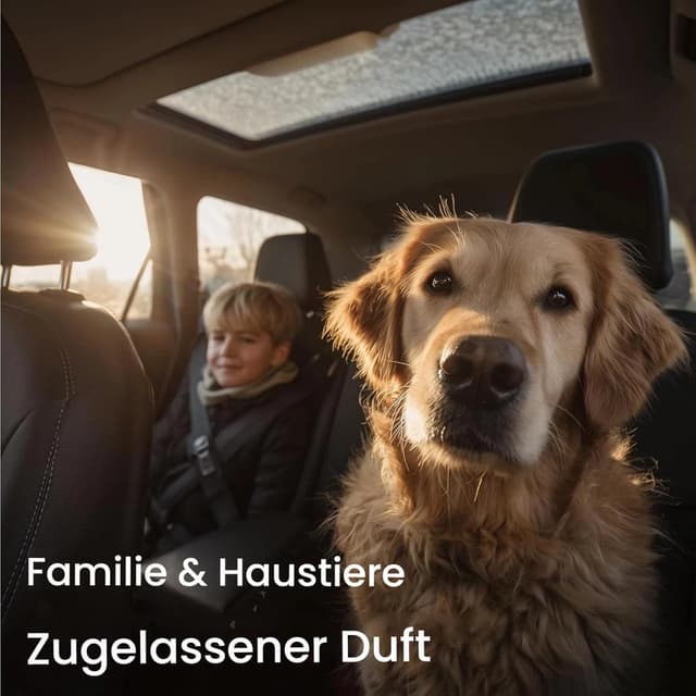 Detalle de Towonshy 3PC Auto Lufterfrischer Herren Parfüm Nachfüllpack – 3 Nachfüller für die Lüftung (6–8 Wochen)