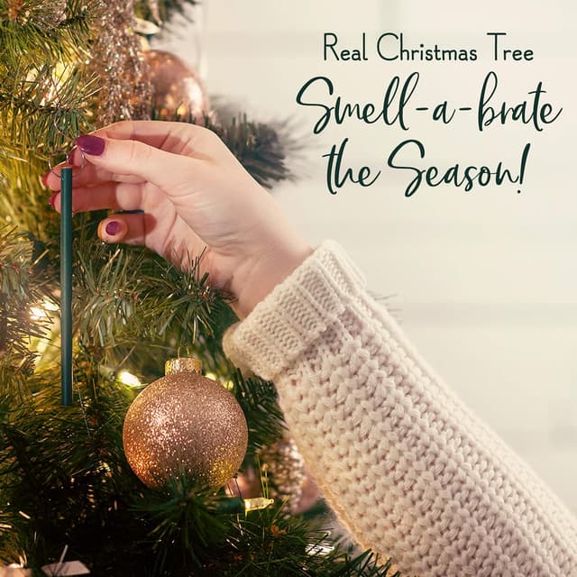 Thumbnail 5 de Scentsicles Ornements parfumés 30 jours 🎄