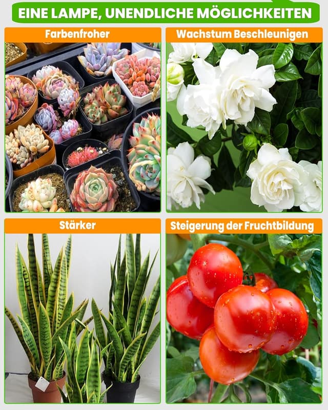 Thumbnail 5 de beautiebeam Wachstumslampe LED Full Spectrum 155cm