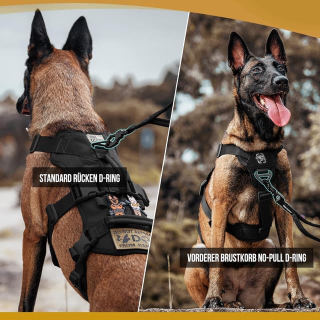 Detalle de OneTigris Hundegeschirr T-Bone mit 2 Griffen, ausbruchsicher & einstellbar (Schwarz, S)