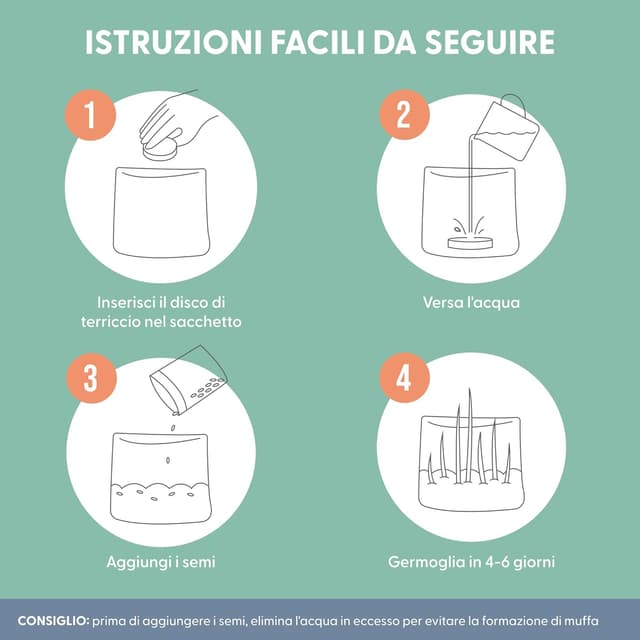 Detalle 2 de Erba per gatti da interno, kit da 3