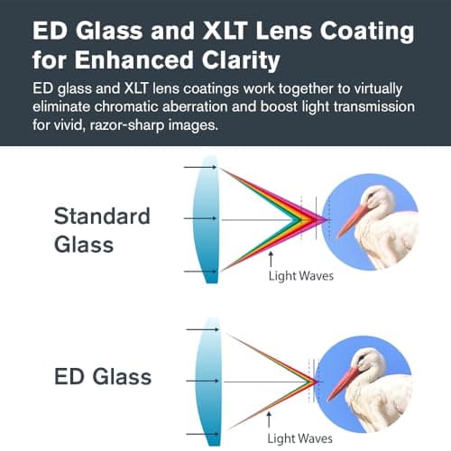 Detalle de Celestron 52306 Regal M2 22-67x100mm Telescopio zoom 100 mm