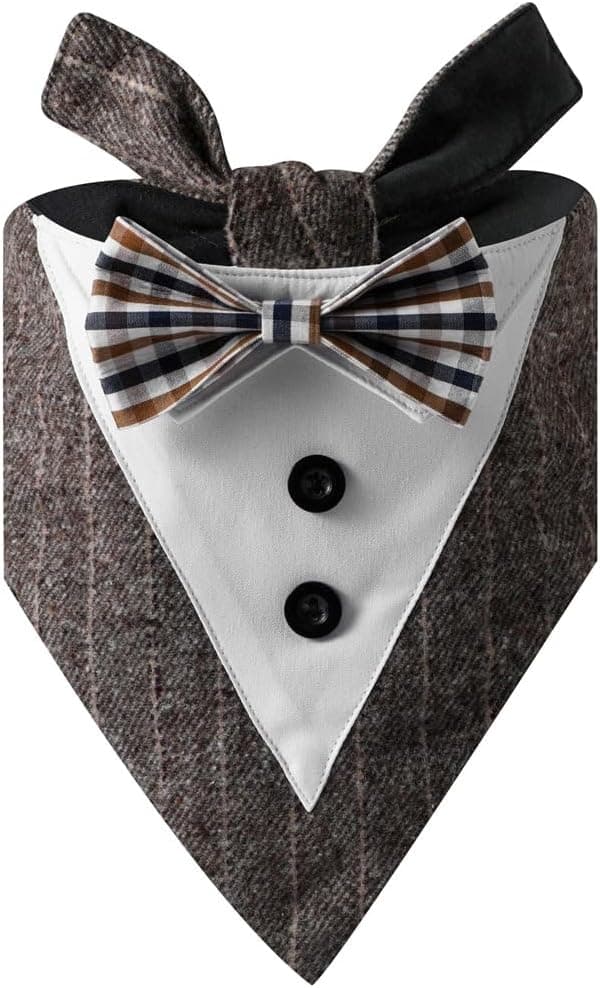 Detalle 2 de BT Bear Tuxedo Collar Bandana Bow Tie