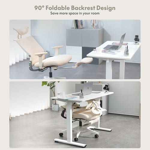 Detalle 2 de FLEXISPOT Silla de Oficina Ergonómica con Reposabrazos y Lumbar