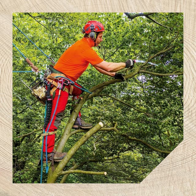 Thumbnail 6 de Oregon 13" sega a mano lama curva in acciaio giapponese 🪚