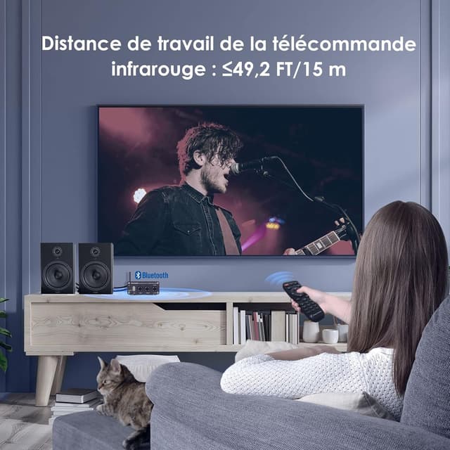 Detalle de Fosi BL20A ampliateur audio 200 W ⚙