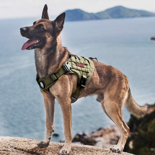 Detalle de OneTigris Tactical Dog Harness Vest (No-Pull) with Hook & Loop Panels, Adjustable Vest Harness – S, Green
