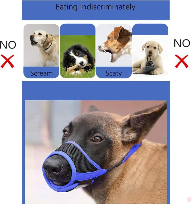 Detalle 2 de HEELE Museruola cane M taglia M in rete traspirante blu