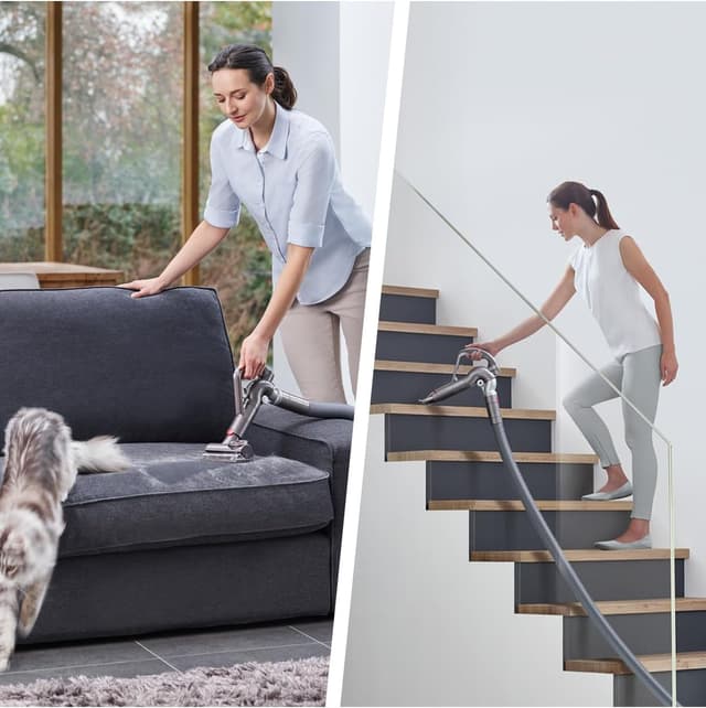 Detalle 2 de Dyson Cinetic Big Ball Animal 2 Staubsauger