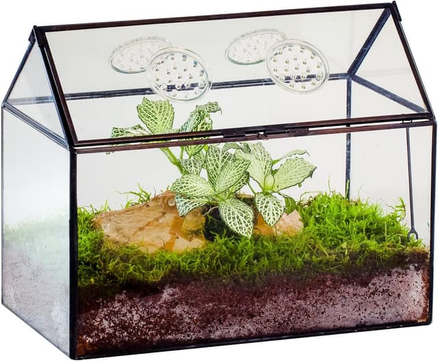 Detalle de NCYP glass terrarium box 26x15x21 cm