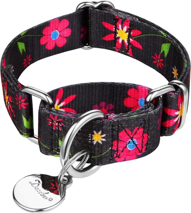 Imagen de Dazzber Martingale Dog Collar 25–38cm en OfertitasTOP