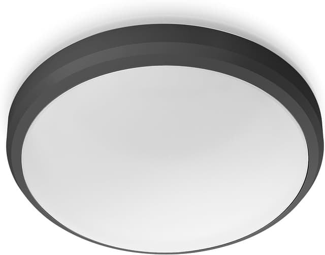 Imagen de Philips Doris Outdoor Ceiling Light 6W en OfertitasTOP