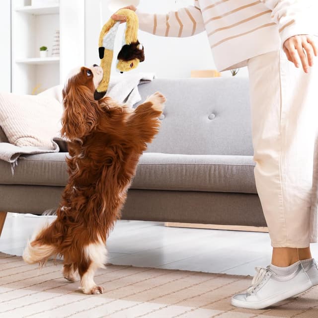 Detalle de Newthinking No Stuffing Squeaky Dog Toys (6 Pack) – stuffing-free plush squeaker toys for small to large dogs