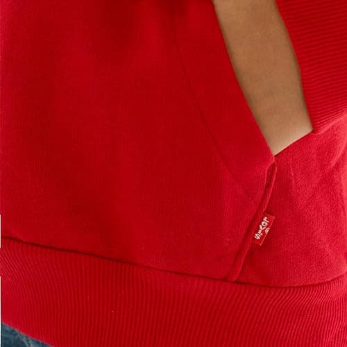 Detalle 2 de Levi's Lvb batwing hoodie Niños 3 años