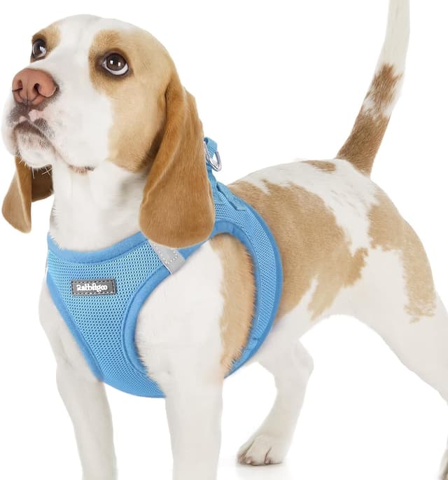 Detalle de rabbitgoo Dog Harness (Small Dog) – Step-in Soft Mesh Puppy Harness with Reflective Strips, Light Blue, Size M